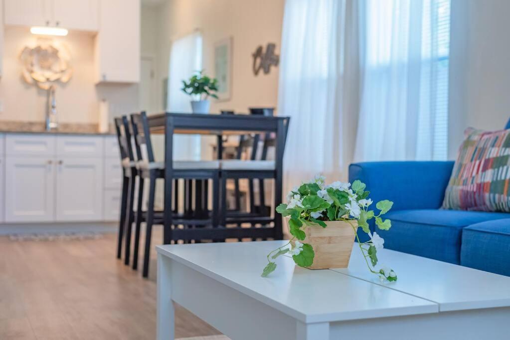 Secret Garden Apartment ซานอันโตนิโอ ภายนอก รูปภาพ